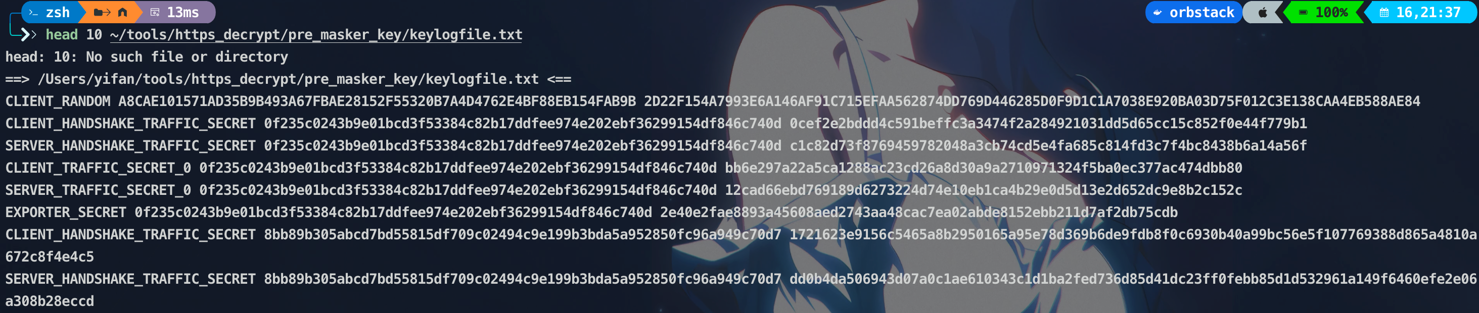 image-20251116214307427