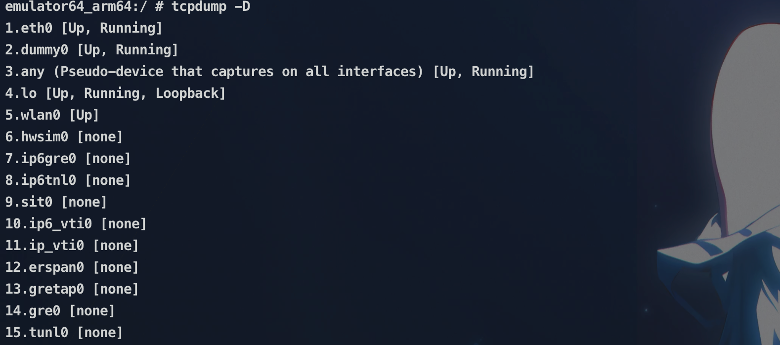 image-20251124223222408
