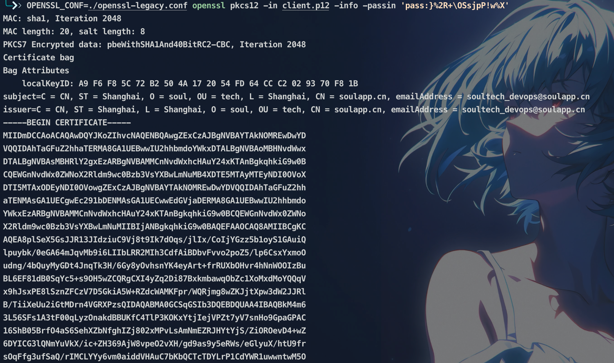 image-20251220210432690